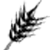 grain